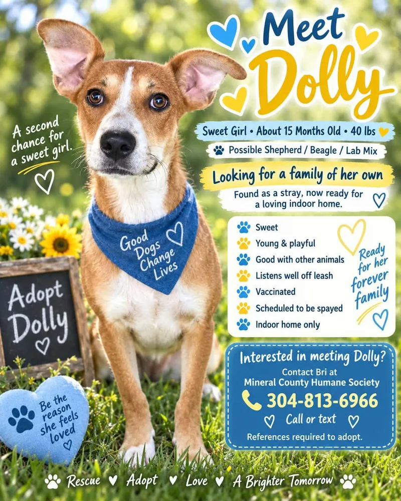 Dolly