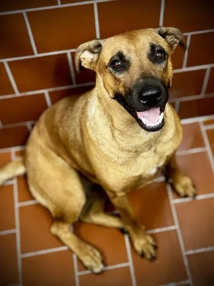 Scarlet Seas thumbnail 3