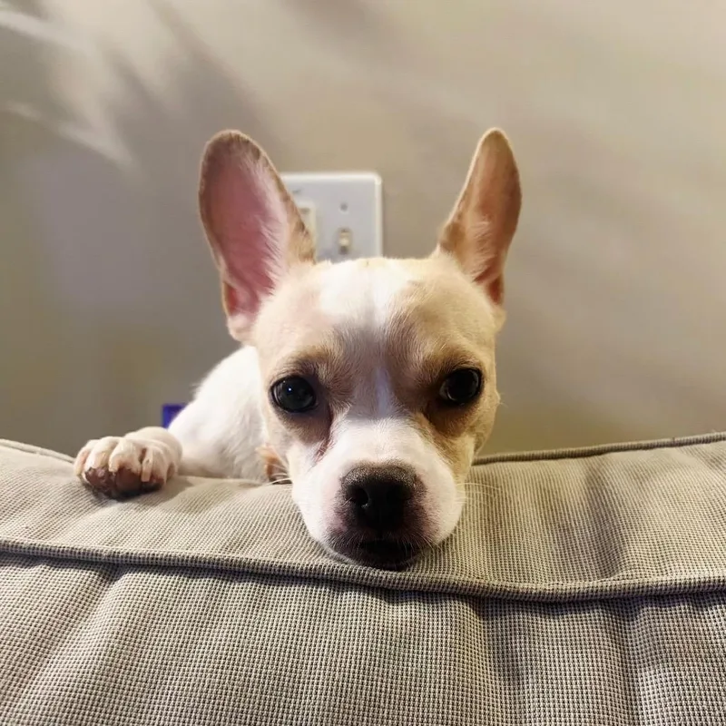 Minnie thumbnail 2