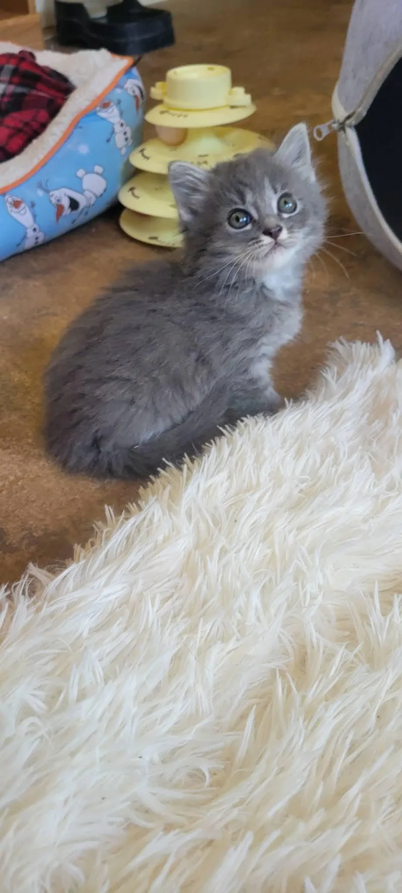 Mia