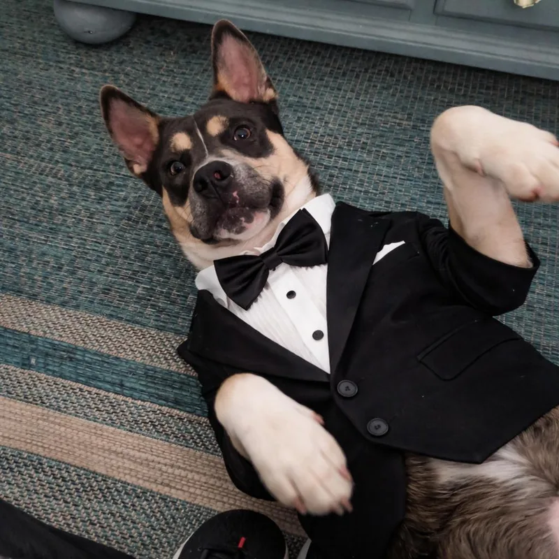 Buster Jones thumbnail 3