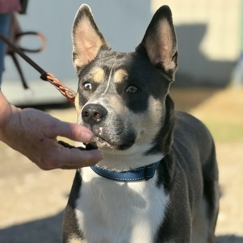 Buster Jones thumbnail 6