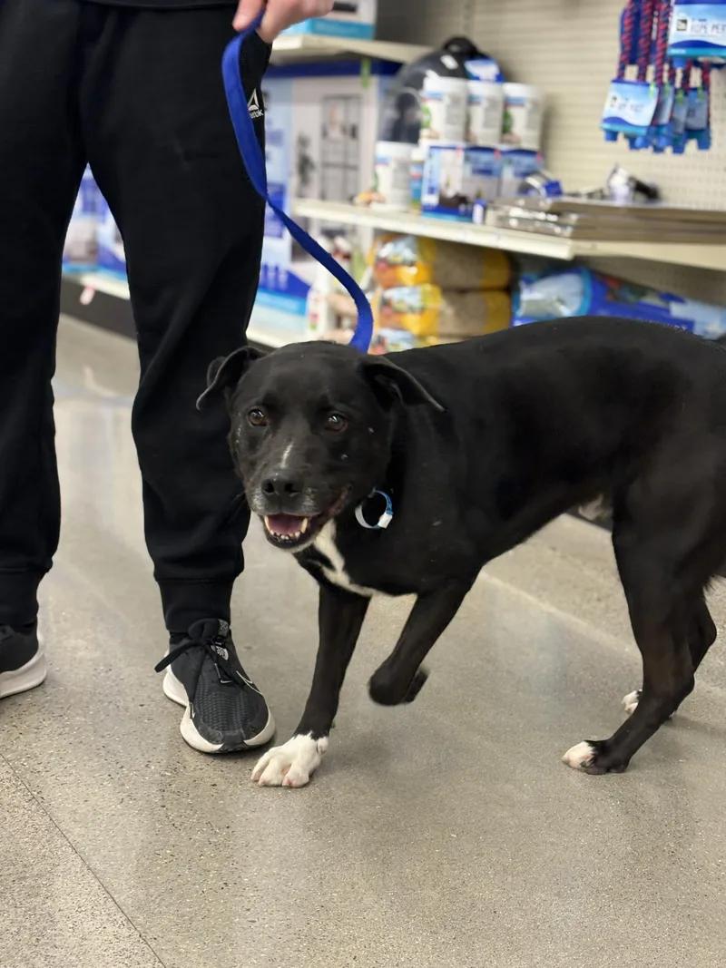 Jack Black thumbnail 2