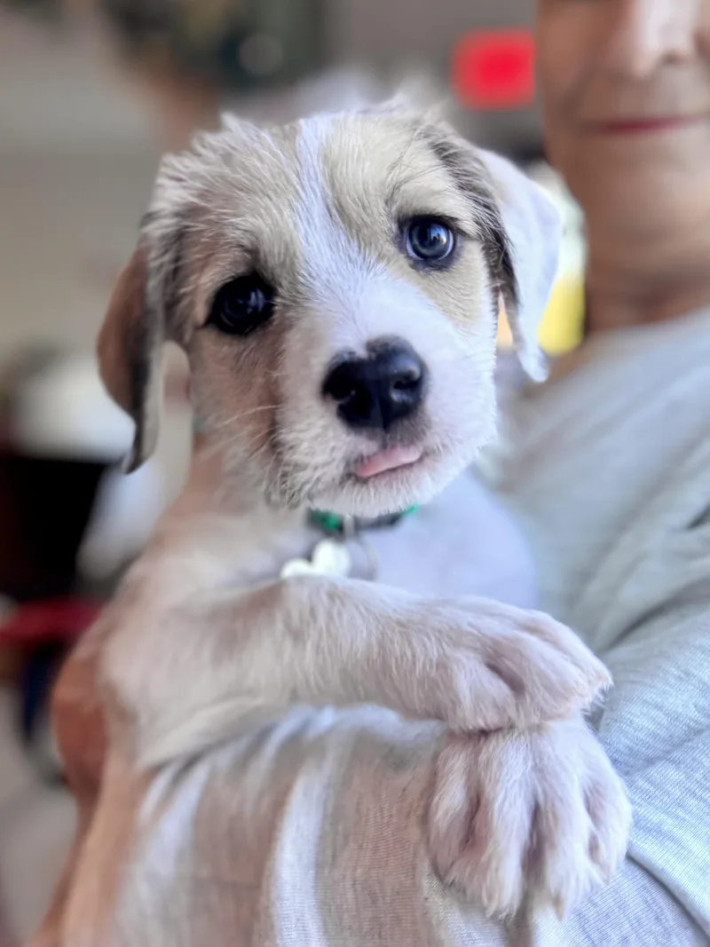 Nacho thumbnail 5