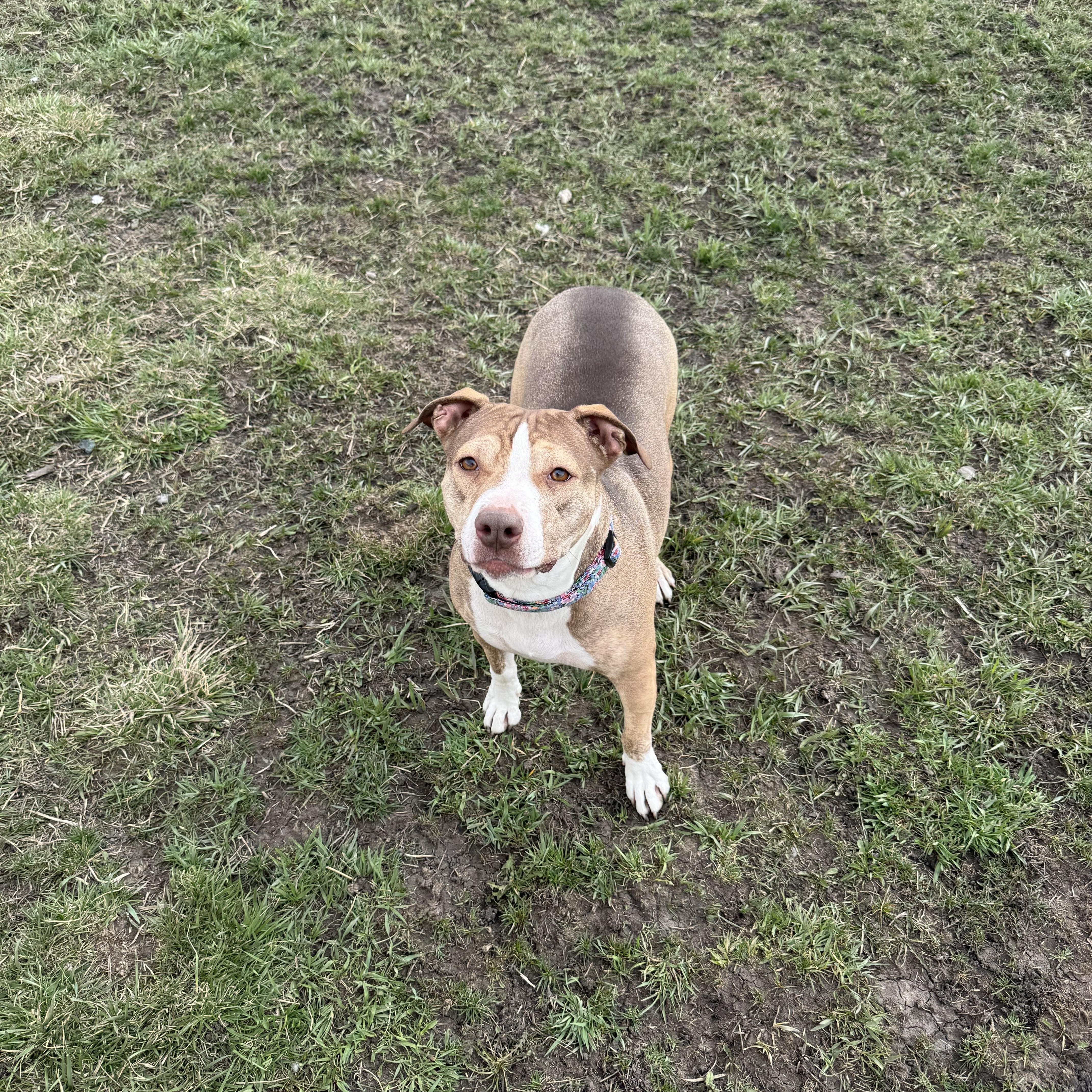 Girlfriend thumbnail 2