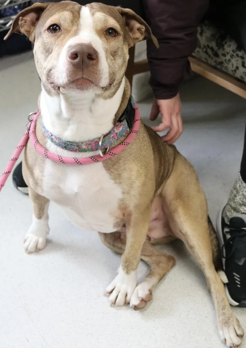 Girlfriend thumbnail 3