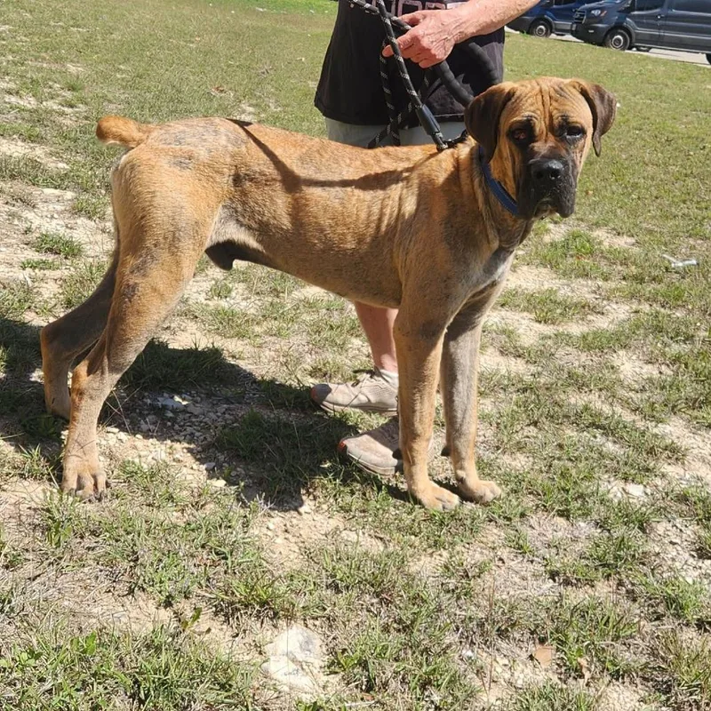 Ralph Bw thumbnail 2