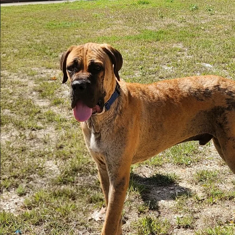 Ralph Bw thumbnail 3