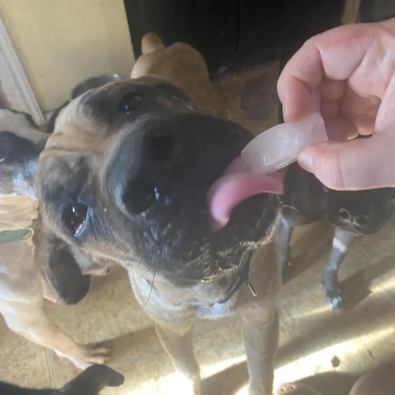 Ralph Bw thumbnail 4