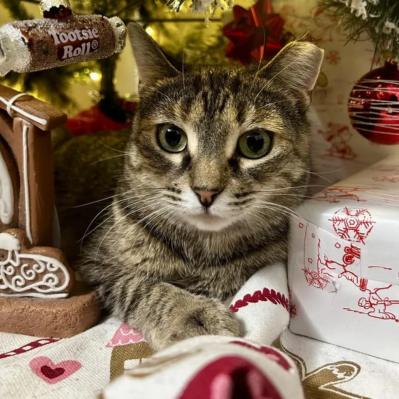 Microsoft thumbnail 2