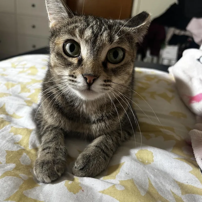 Microsoft thumbnail 3