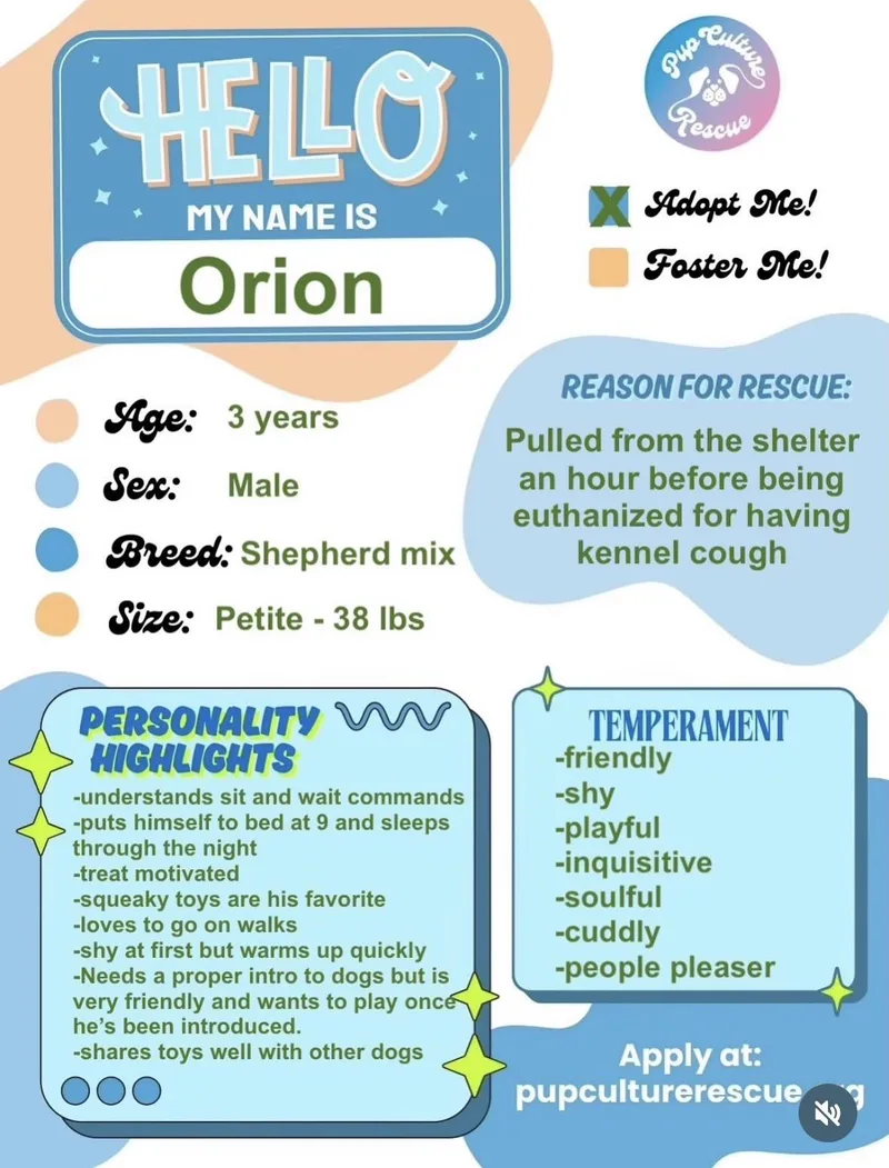 Orion thumbnail 5