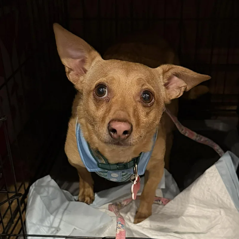 Jake & Finn thumbnail 4