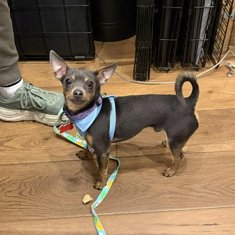 Jake & Finn thumbnail 5