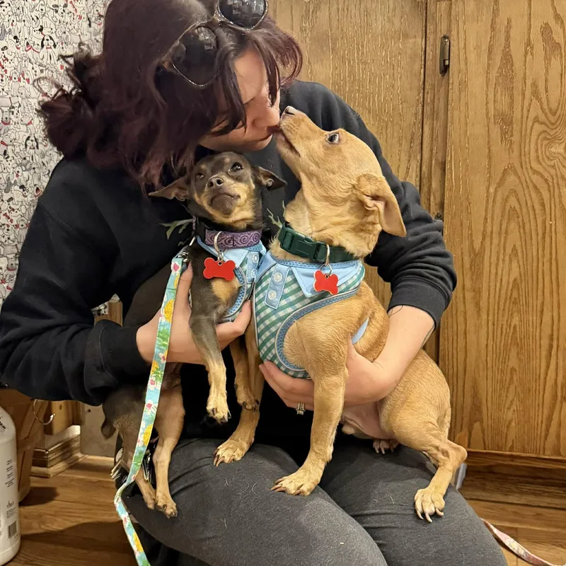 Jake & Finn thumbnail 6