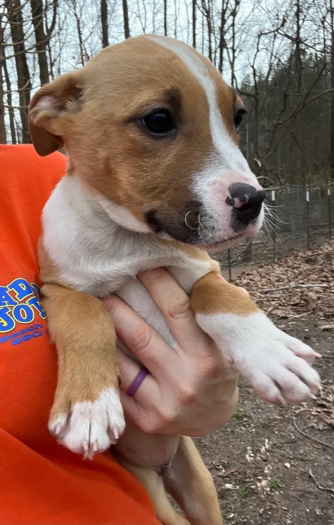 Streusel thumbnail 2