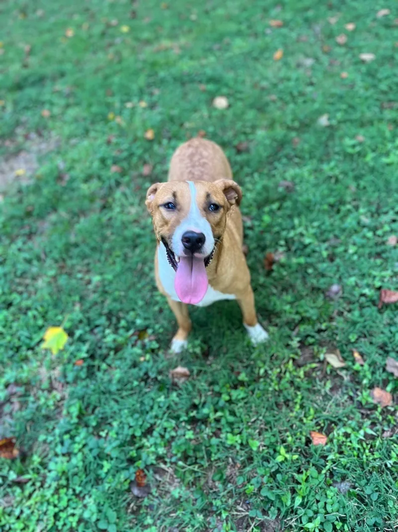 Streusel thumbnail 3