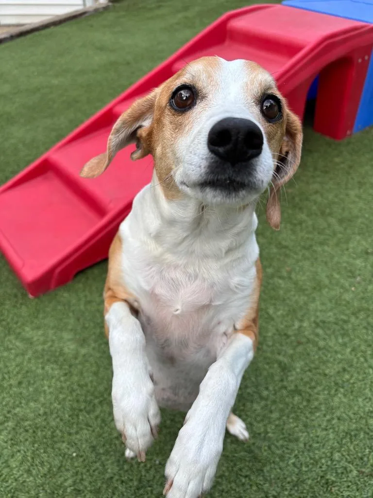 Rosie