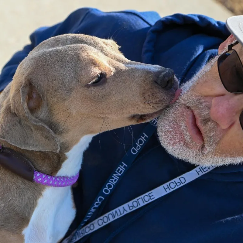 Cake Slice thumbnail 2