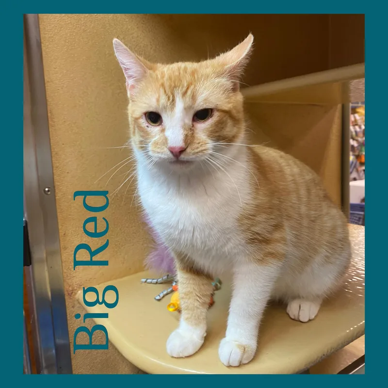 Big Red