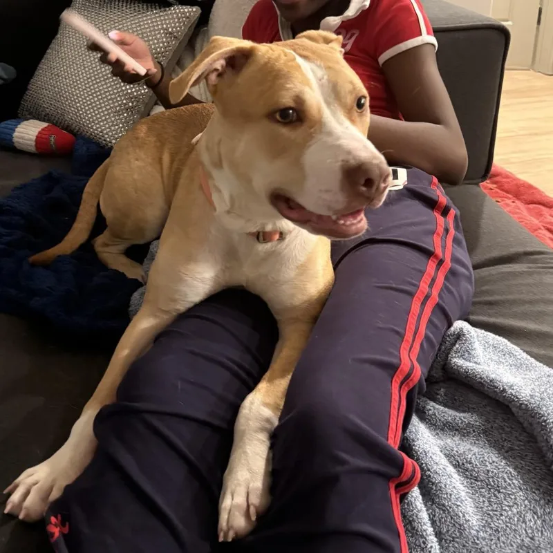 Princess Peach thumbnail 2