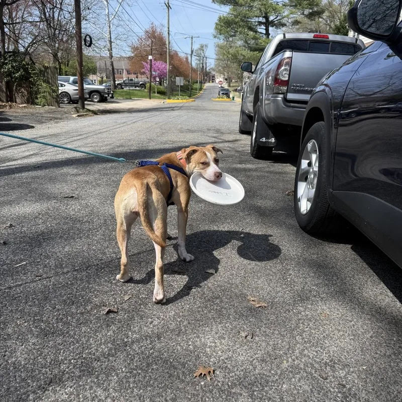 Princess Peach thumbnail 3