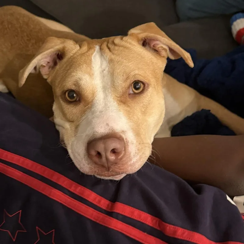 Princess Peach thumbnail 4