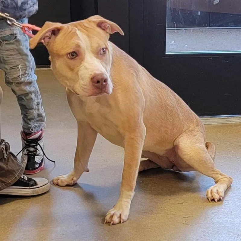 Princess Peach thumbnail 5