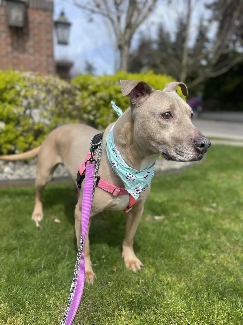 Little Mama thumbnail 3