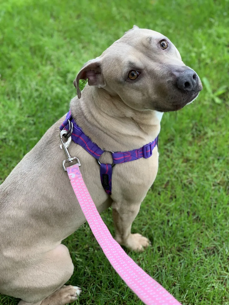 Little Mama thumbnail 4