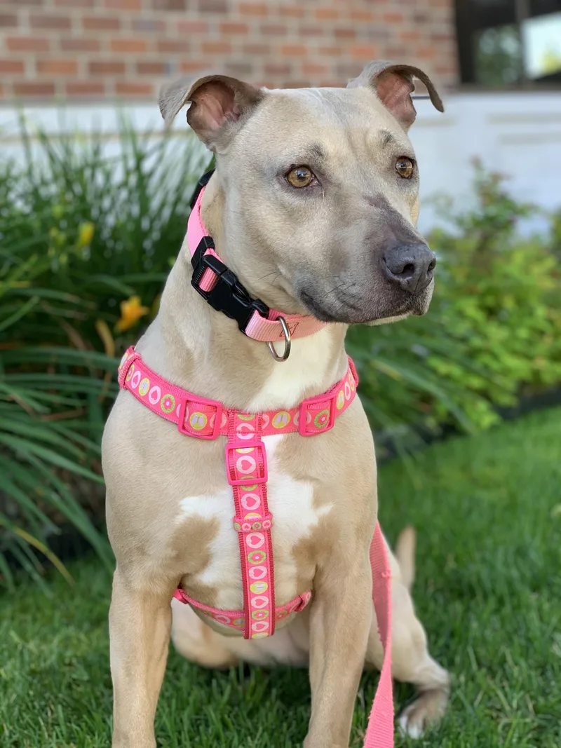 Little Mama thumbnail 5