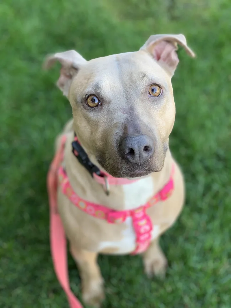 Little Mama thumbnail 6