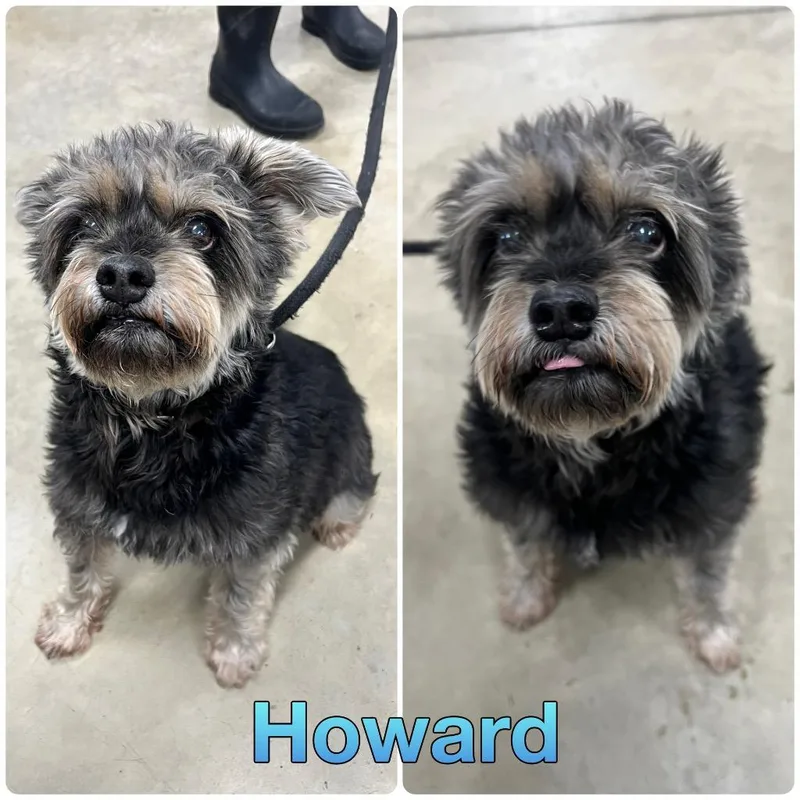 Howard