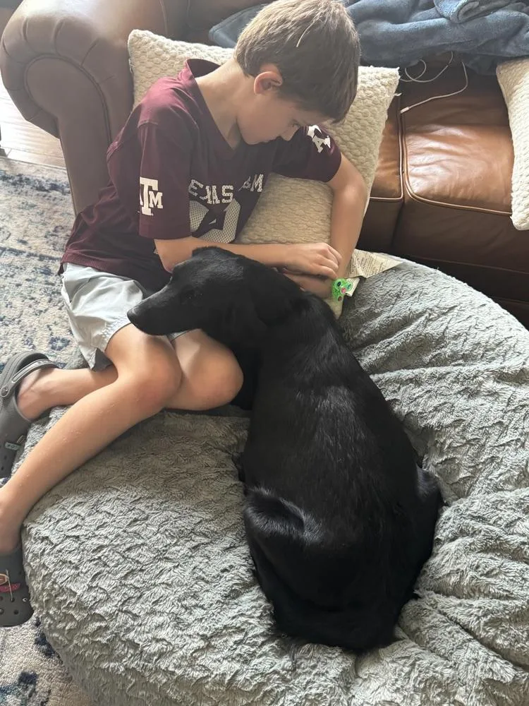 Camazzola  Mama Blossom thumbnail 3