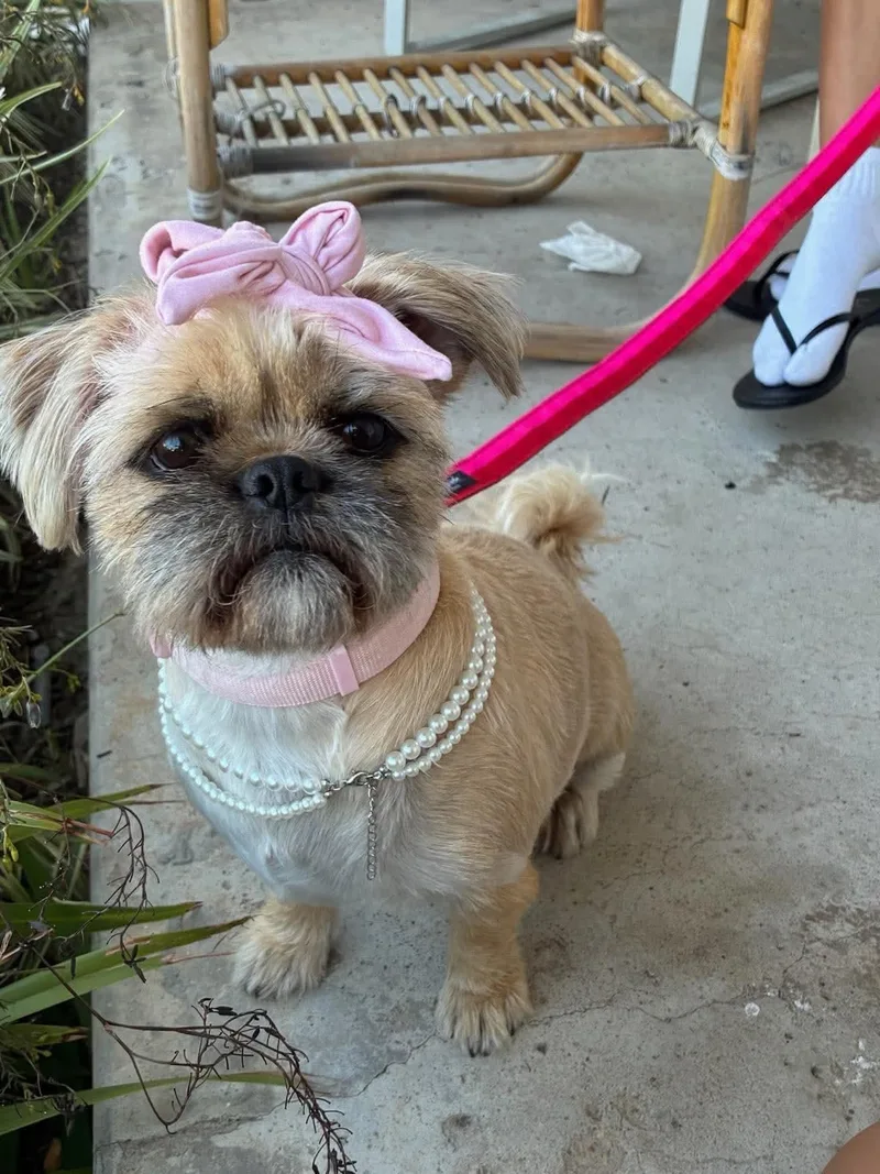 Winnie thumbnail 2