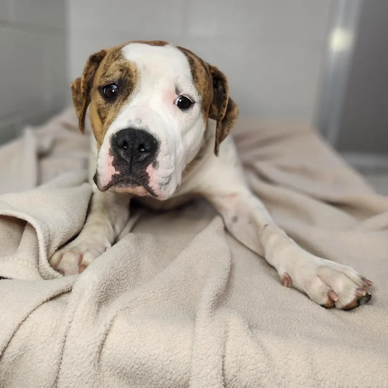 Dj Tanner thumbnail 2