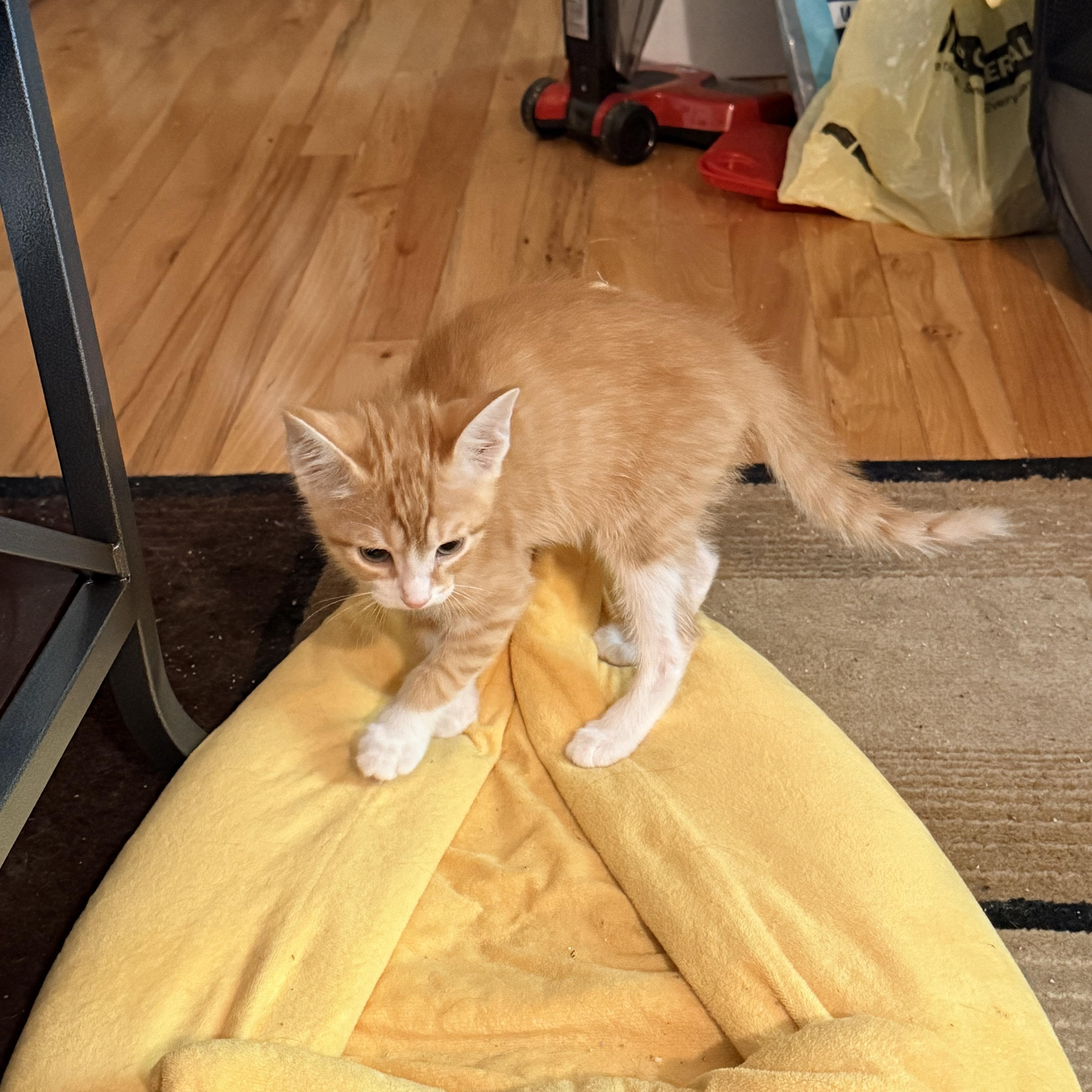 Blimp  Athens  thumbnail 2