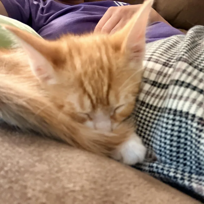 Blimp  Athens  thumbnail 6