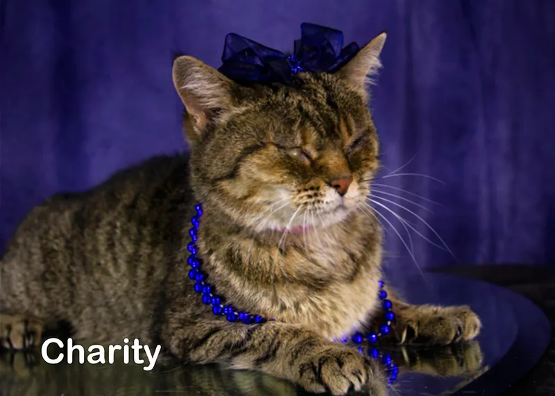 Charity Mama thumbnail 2