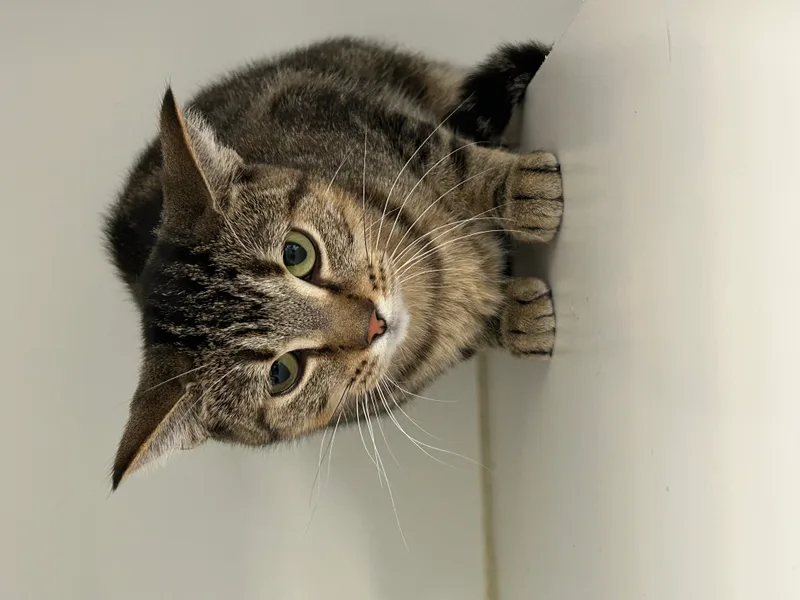 Mother Earth thumbnail 2