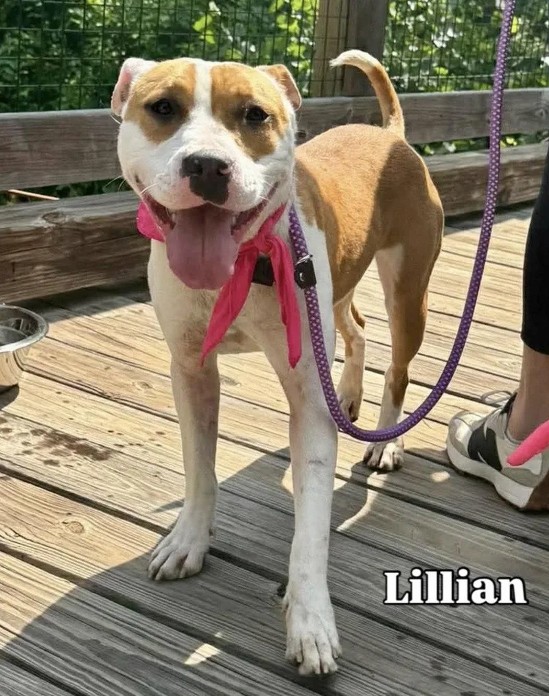 Lillian