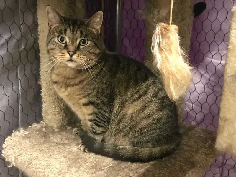 Chewy & Mama thumbnail 2