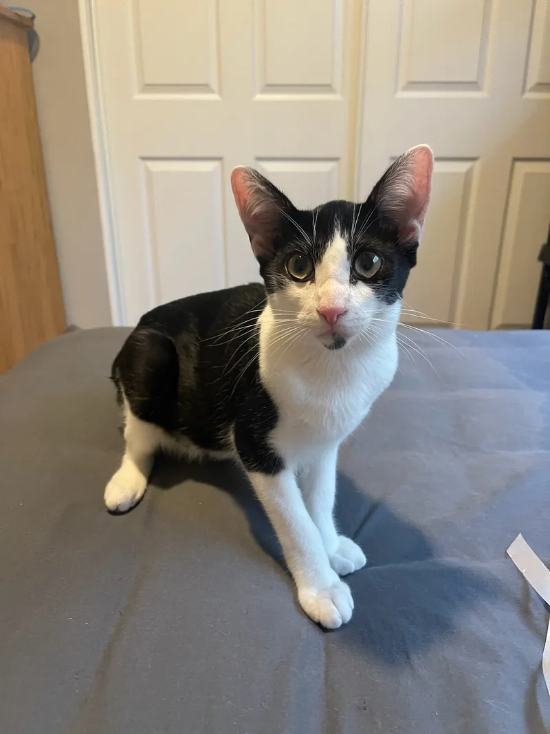 Charlie Daymr. Always Sunny thumbnail 3