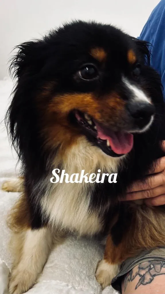 Shakeira