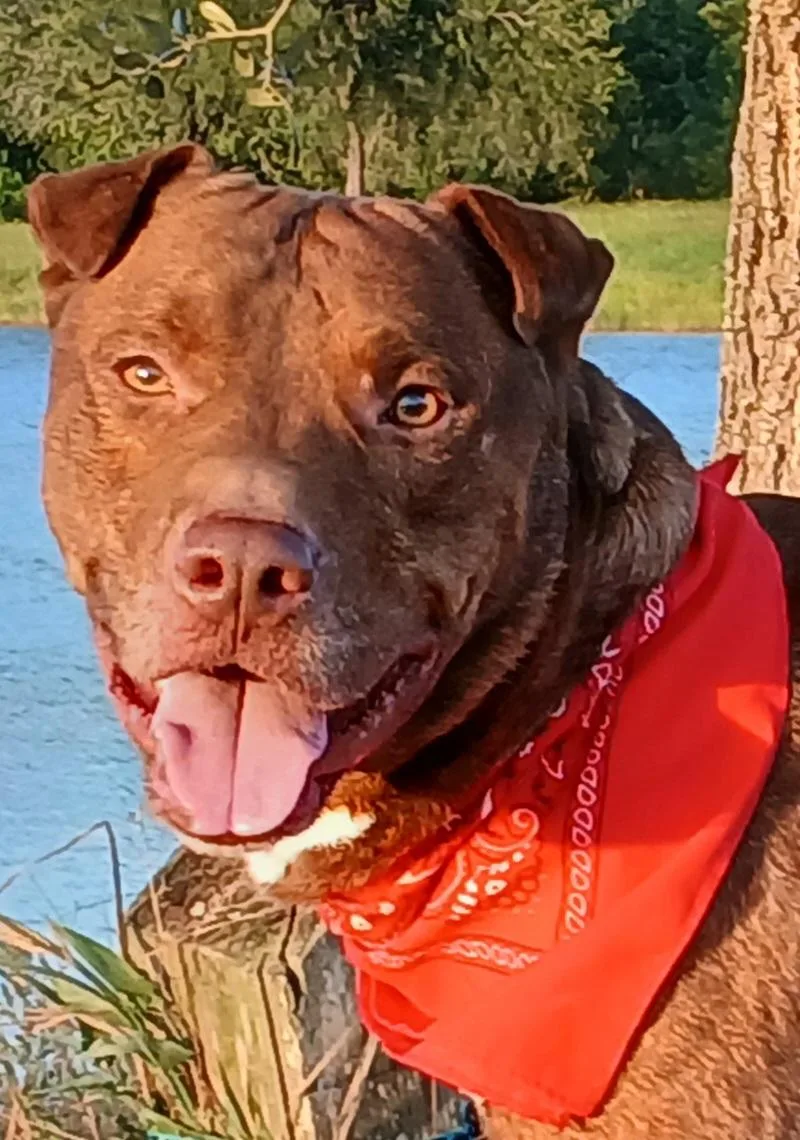 Marley  super sweet thumbnail 5