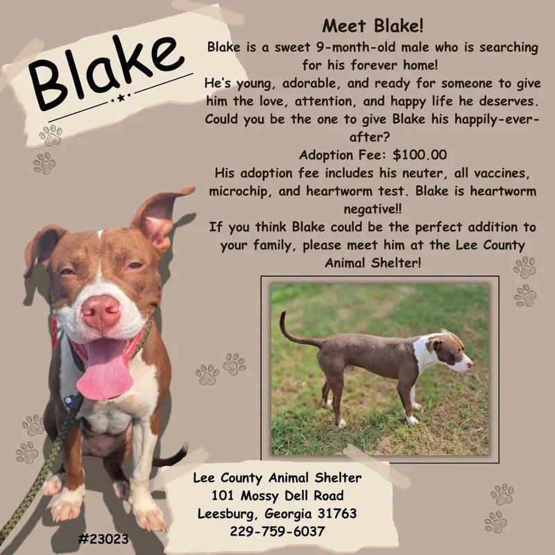 Blake