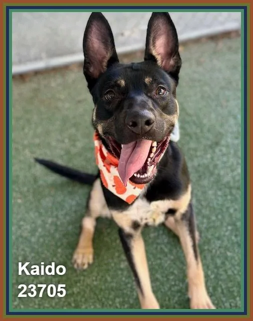 Kaido thumbnail 2