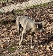 Michelle thumbnail 2