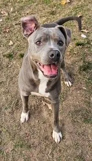 Michelle thumbnail 3