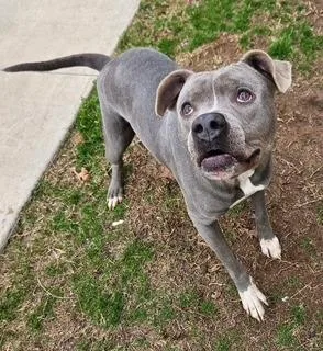 Michelle thumbnail 4